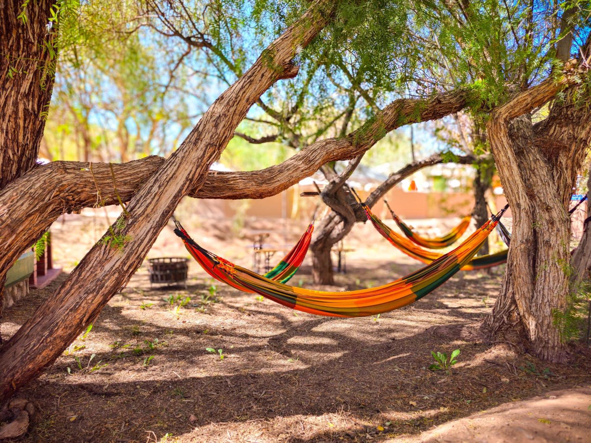 Lodge Ancar Atacama Сан-Педро-де-Атакама Экстерьер фото
